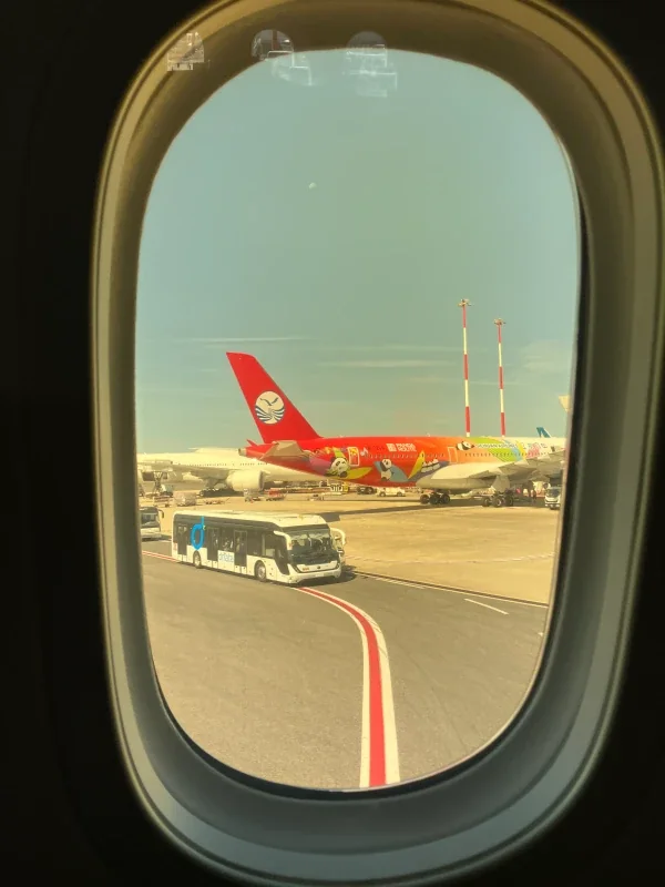 AA 235 FCO–JFK panda livery window