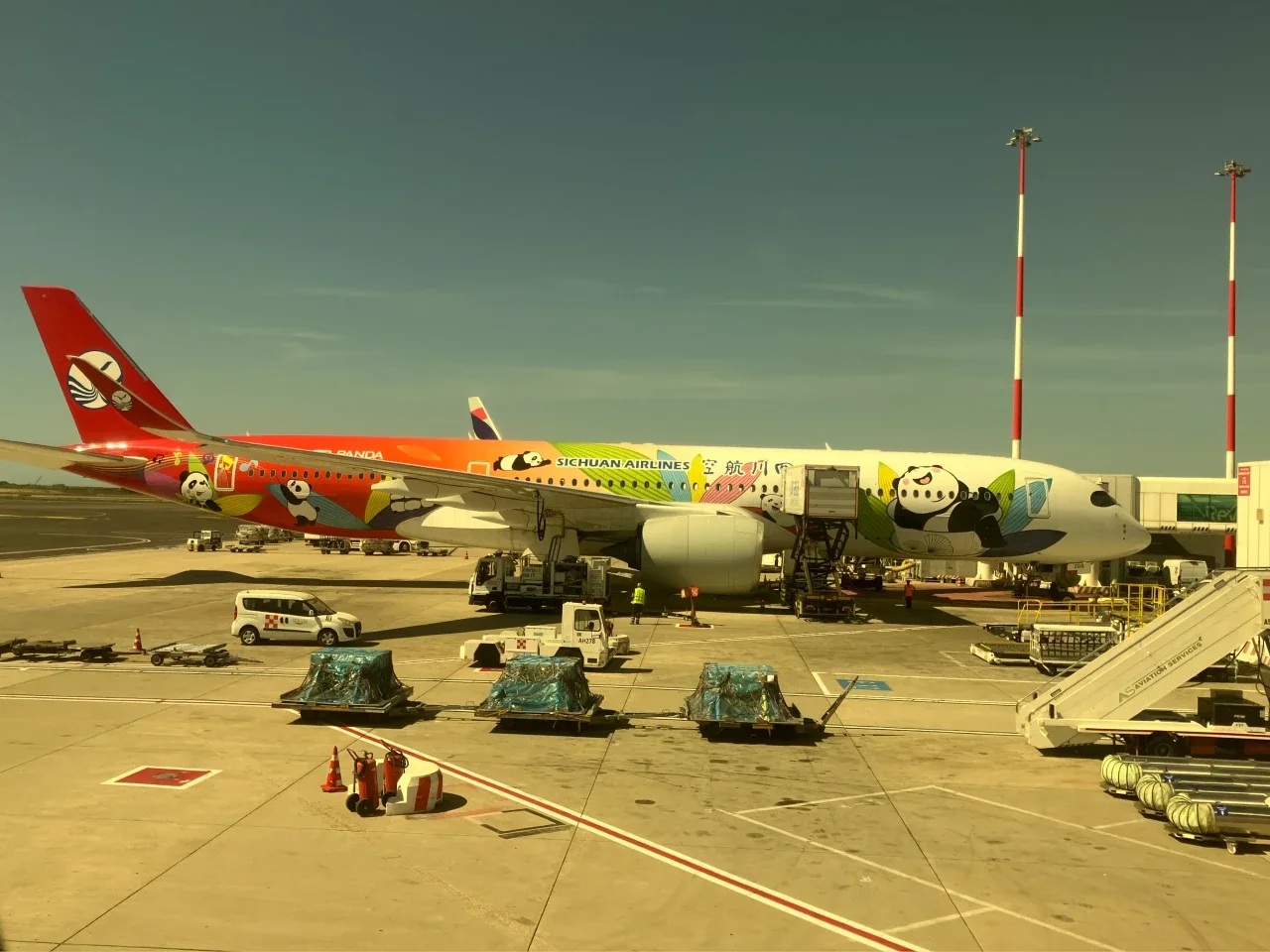 AA 235 FCO–JFK sichuan panda livery
